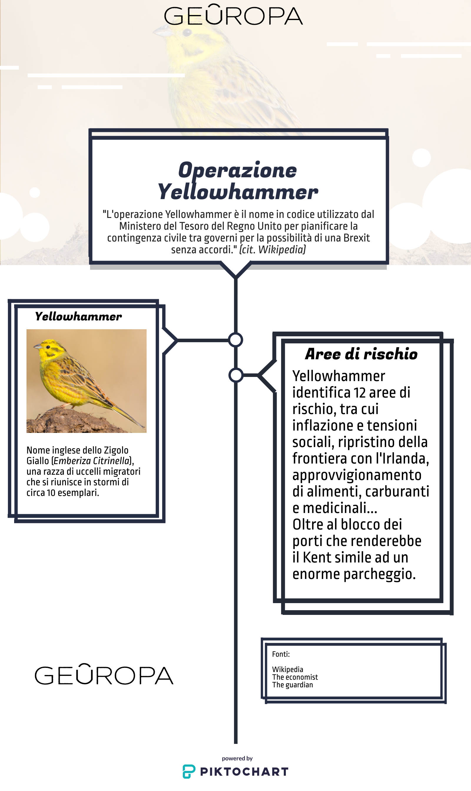 operazione yellowhammer infografica